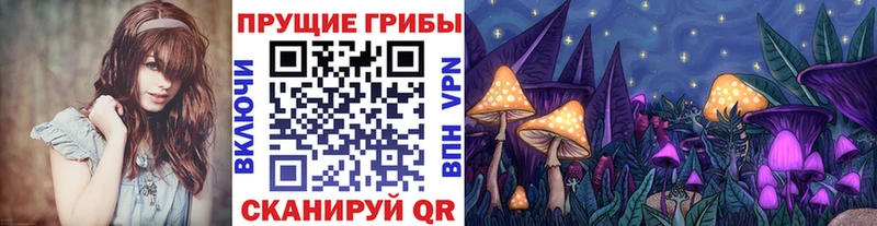 хочу наркоту  Томилино  Псилоцибиновые грибы ЛСД 